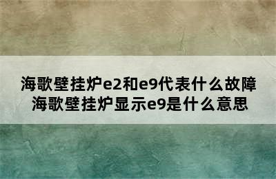 海歌壁挂炉e2和e9代表什么故障 海歌壁挂炉显示e9是什么意思